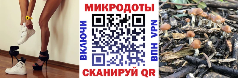 Галлюциногенные грибы ЛСД  Алагир 